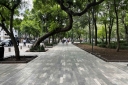 Filename=EUM20250716SOC15.jpg
Filesize=2306KiB
Dimensions=2048x1365
Date added=Jul 16, 2025 EUM20250716SOC15.jpg