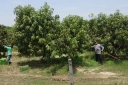 Filename=EUM20250719NAC03.jpg
Filesize=2406KiB
Dimensions=2048x1365
Date added=Jul 19, 2025 EUM20250719NAC03.jpg