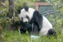 Filename=EUM20250723POL15.JPG
Filesize=1646KiB
Dimensions=2048x1365
Date added=Jul 23, 2025 EUM20250723POL15.JPG