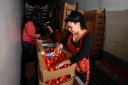 Filename=EUM20250725POL22.JPG
Filesize=1306KiB
Dimensions=2048x1365
Date added=Jul 25, 2025 EUM20250725POL22.JPG