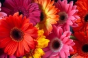 Filename=EUM20250509SOC06.jpg
Filesize=1676KiB
Dimensions=2048x1364
Date added=May 09, 2025 EUM20250509SOC06.jpg