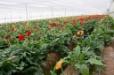 Filename=EUM20250509SOC07.jpg
Filesize=2104KiB
Dimensions=2048x1364
Date added=May 09, 2025 EUM20250509SOC07.jpg