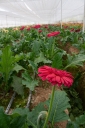 Filename=EUM20250509SOC09.jpg
Filesize=1550KiB
Dimensions=1364x2048
Date added=May 09, 2025 EUM20250509SOC09.jpg