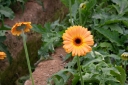 Filename=EUM20250509SOC10.jpg
Filesize=1507KiB
Dimensions=2048x1364
Date added=May 09, 2025 EUM20250509SOC10.jpg