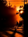 Filename=EUM20250516SOC42.JPG
Filesize=542KiB
Dimensions=1200x1600
Date added=May 16, 2025 EUM20250516SOC42.JPG