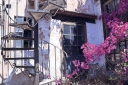 Filename=EUM20250517CUL02.jpg
Filesize=2525KiB
Dimensions=2048x1364
Date added=May 17, 2025 EUM20250517CUL02.jpg