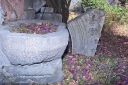 Filename=EUM20250517CUL04.jpg
Filesize=2804KiB
Dimensions=2048x1365
Date added=May 17, 2025 EUM20250517CUL04.jpg