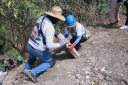 Filename=EUM20250524SOC43.jpg
Filesize=2508KiB
Dimensions=2048x1365
Date added=May 24, 2025 EUM20250524SOC43.jpg