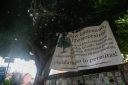 Filename=EUM20250611SOC08.jpg
Filesize=1575KiB
Dimensions=2048x1365
Date added=Jun 11, 2025 EUM20250611SOC08.jpg