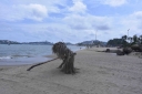 Filename=EUM20250618NAC37.JPG
Filesize=1573KiB
Dimensions=2048x1367
Date added=Jun 18, 2025 EUM20250618NAC37.JPG