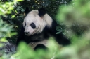 Filename=EUM20250705SOC07.jpg
Filesize=1493KiB
Dimensions=2048x1365
Date added=Jul 05, 2025 EUM20250705SOC07.jpg