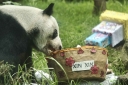 Filename=EUM20250705SOC09.jpg
Filesize=1764KiB
Dimensions=2048x1365
Date added=Jul 05, 2025 EUM20250705SOC09.jpg