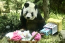 Filename=EUM20250705SOC10.jpg
Filesize=1755KiB
Dimensions=2048x1365
Date added=Jul 05, 2025 EUM20250705SOC10.jpg