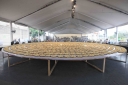 Filename=EUM20250711NAC08.JPG
Filesize=1621KiB
Dimensions=2048x1365
Date added=Jul 11, 2025 EUM20250711NAC08.JPG