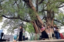 Filename=EUM20250712SOC07.JPG
Filesize=544KiB
Dimensions=2000x1333
Date added=Jul 12, 2025 EUM20250712SOC07.JPG