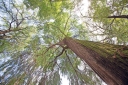 Filename=EUM20250712SOC09.JPG
Filesize=406KiB
Dimensions=2000x1333
Date added=Jul 12, 2025 EUM20250712SOC09.JPG