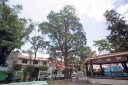 Filename=EUM20250712SOC10.JPG
Filesize=2315KiB
Dimensions=2048x1365
Date added=Jul 12, 2025 EUM20250712SOC10.JPG