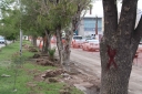 Filename=EUM20250712SOC13.jpg
Filesize=1951KiB
Dimensions=2048x1365
Date added=Jul 12, 2025 EUM20250712SOC13.jpg