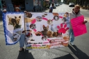 Filename=soc8.jpg
Filesize=1502KiB
Dimensions=2048x1365
Date added=Jan 13, 2026 soc8.jpg