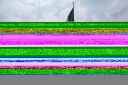 Filename=FIFA4.jpg
Filesize=2208KiB
Dimensions=2048x1365
Date added=May 19, 2026 FIFA4.jpg