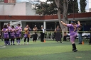 Filename=soc5.jpg
Filesize=1520KiB
Dimensions=2048x1365
Date added=May 19, 2026 soc5.jpg