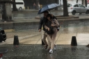 Filename=EUM20250616SOC08.jpg
Filesize=1215KiB
Dimensions=2048x1365
Date added=Jun 16, 2025 EUM20250616SOC08.jpg