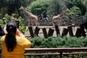 Filename=EUM20250706SOC12.jpg
Filesize=2049KiB
Dimensions=2048x1365
Date added=Jul 06, 2025 EUM20250706SOC12.jpg