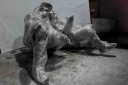 Filename=EUM20250717POL19.JPG
Filesize=1505KiB
Dimensions=2048x1365
Date added=Jul 17, 2025 EUM20250717POL19.JPG