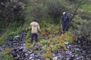 Filename=EUM20250829SOC14.JPG
Filesize=3093KiB
Dimensions=2048x1365
Date added=Aug 29, 2025 EUM20250829SOC14.JPG