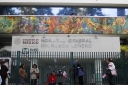Filename=EUM20250917SOC24.JPG
Filesize=1823KiB
Dimensions=2048x1365
Date added=Sep 17, 2025 EUM20250917SOC24.JPG
