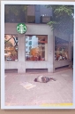 Filename=EUM20250920CUL03.JPG
Filesize=1580KiB
Dimensions=1365x2048
Date added=Sep 20, 2025 EUM20250920CUL03.JPG