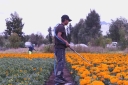 Filename=EUM20251007SOC48.JPG
Filesize=1566KiB
Dimensions=2048x1365
Date added=Oct 07, 2025 EUM20251007SOC48.JPG