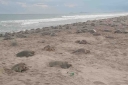Filename=EUM20251009NAC10.JPG
Filesize=1291KiB
Dimensions=2048x1365
Date added=Oct 09, 2025 EUM20251009NAC10.JPG