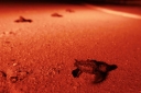 Filename=EUM20251011NAC20.JPG
Filesize=1303KiB
Dimensions=2048x1365
Date added=Oct 11, 2025 EUM20251011NAC20.JPG