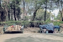 Filename=EUM20251014SOC27.JPG
Filesize=3271KiB
Dimensions=2048x1365
Date added=Oct 14, 2025 EUM20251014SOC27.JPG