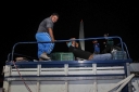 Filename=EUM20251022NAC03.JPG
Filesize=1071KiB
Dimensions=2048x1365
Date added=Oct 22, 2025 EUM20251022NAC03.JPG
