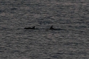 Filename=EUM20251030NAC10.JPG
Filesize=1624KiB
Dimensions=2048x1365
Date added=Oct 30, 2025 EUM20251030NAC10.JPG