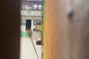 Filename=EUM20251105SOC11.JPG
Filesize=974KiB
Dimensions=2048x1365
Date added=Nov 05, 2025 EUM20251105SOC11.JPG