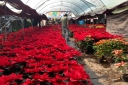 Filename=EUM20251203SOC26.JPG
Filesize=2187KiB
Dimensions=2048x1365
Date added=Dec 03, 2025 EUM20251203SOC26.JPG