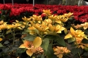 Filename=EUM20251203SOC39.JPG
Filesize=1780KiB
Dimensions=2048x1365
Date added=Dec 03, 2025 EUM20251203SOC39.JPG