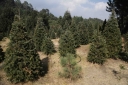 Filename=EUM20251205SOC06.JPG
Filesize=1771KiB
Dimensions=2048x1365
Date added=Dec 05, 2025 EUM20251205SOC06.JPG