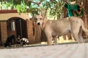 Filename=EUM20251211NAC02.JPG
Filesize=1539KiB
Dimensions=2048x1365
Date added=Dec 11, 2025 EUM20251211NAC02.JPG