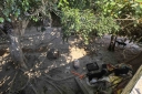 Filename=EUM20251211NAC04.JPG
Filesize=1810KiB
Dimensions=2048x1365
Date added=Dec 11, 2025 EUM20251211NAC04.JPG