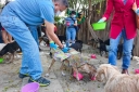 Filename=EUM20251211NAC09.JPG
Filesize=1784KiB
Dimensions=2048x1365
Date added=Dec 11, 2025 EUM20251211NAC09.JPG