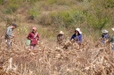 Filename=EUM20251219NAC02.JPG
Filesize=2930KiB
Dimensions=2048x1365
Date added=Dec 19, 2025 EUM20251219NAC02.JPG