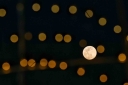 Filename=EUM20260102NAC03.JPG
Filesize=930KiB
Dimensions=2048x1365
Date added=Jan 02, 2026 EUM20260102NAC03.JPG