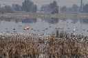 Filename=EUM20260102SOC65.JPG
Filesize=1784KiB
Dimensions=2048x1365
Date added=Jan 02, 2026 EUM20260102SOC65.JPG