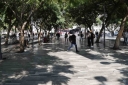 Filename=EUM20260108SOC31.JPG
Filesize=1439KiB
Dimensions=2048x1365
Date added=Jan 08, 2026 EUM20260108SOC31.JPG