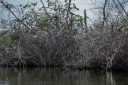 Filename=EUM20260123NAC01.JPG
Filesize=2368KiB
Dimensions=2048x1365
Date added=Jan 23, 2026 EUM20260123NAC01.JPG