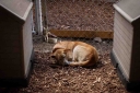 Filename=EUM20260123SOC17.JPG
Filesize=83KiB
Dimensions=1150x767
Date added=Jan 23, 2026 EUM20260123SOC17.JPG